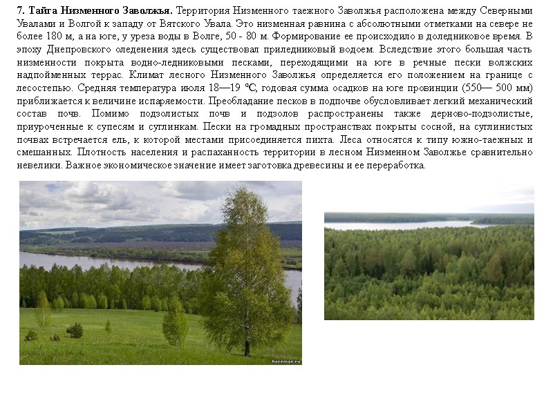 7. Тайга Низменного Заволжья. Территория Низменного таежного Заволжья расположена между Северными Увалами и Волгой